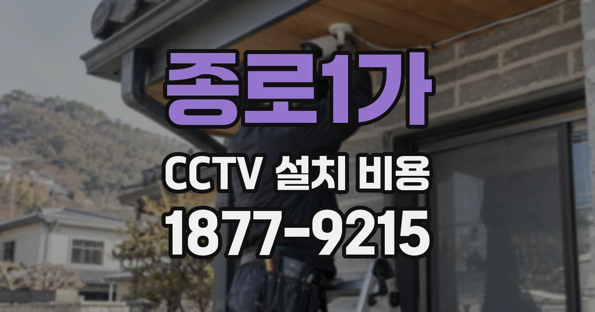 종로1가 CCTV 설치 비용