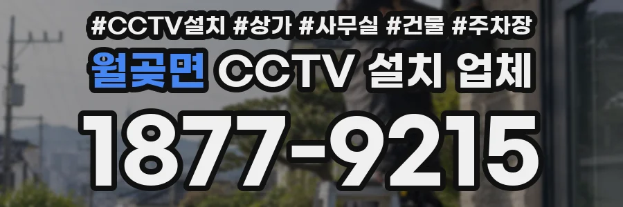 월곶면 CCTV 설치 업체