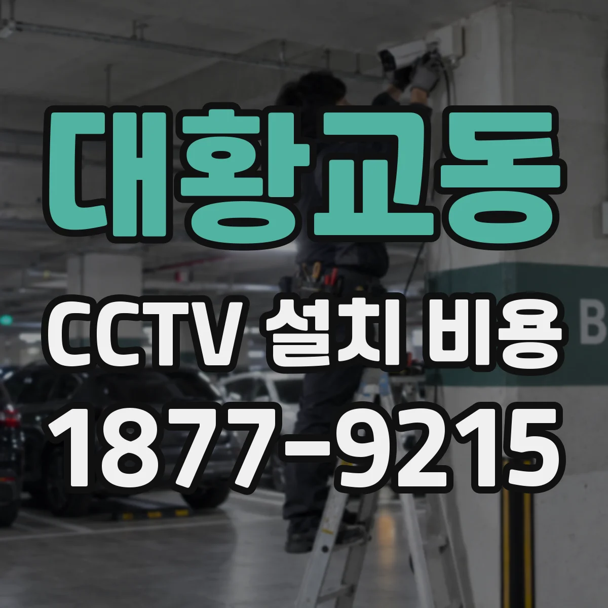 대황교동 CCTV 설치 비용