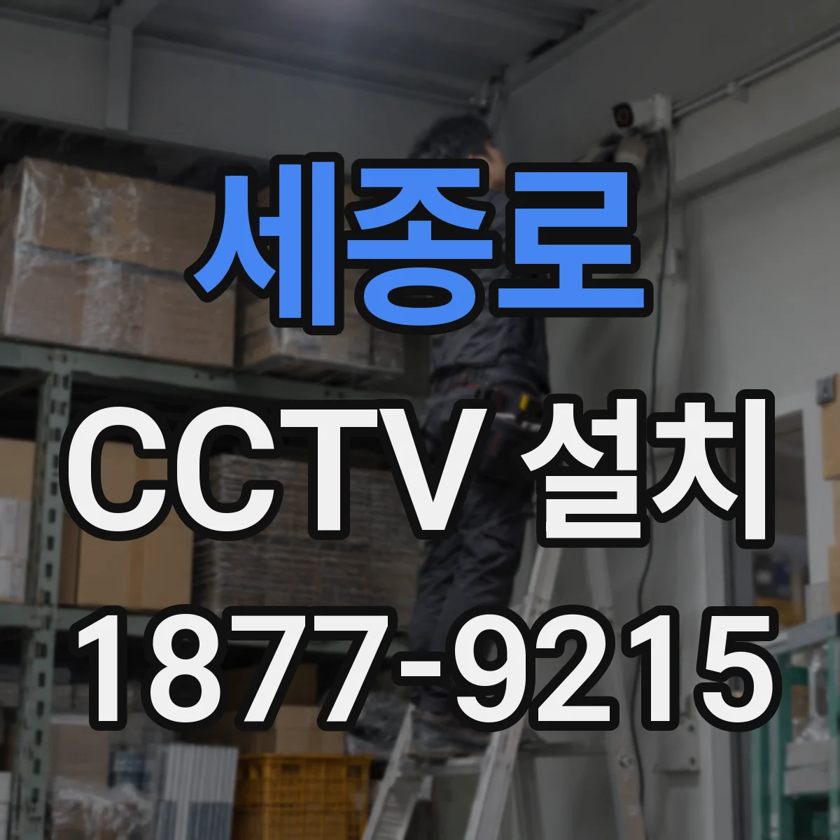 세종로 CCTV 설치