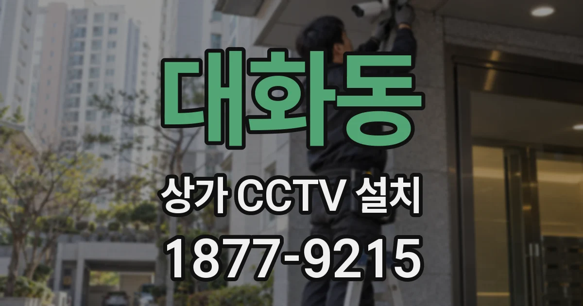 대화동 상가 CCTV 설치