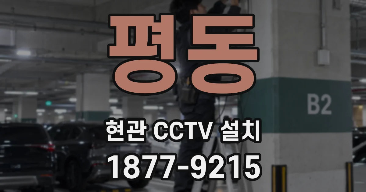 평동 현관 CCTV 설치