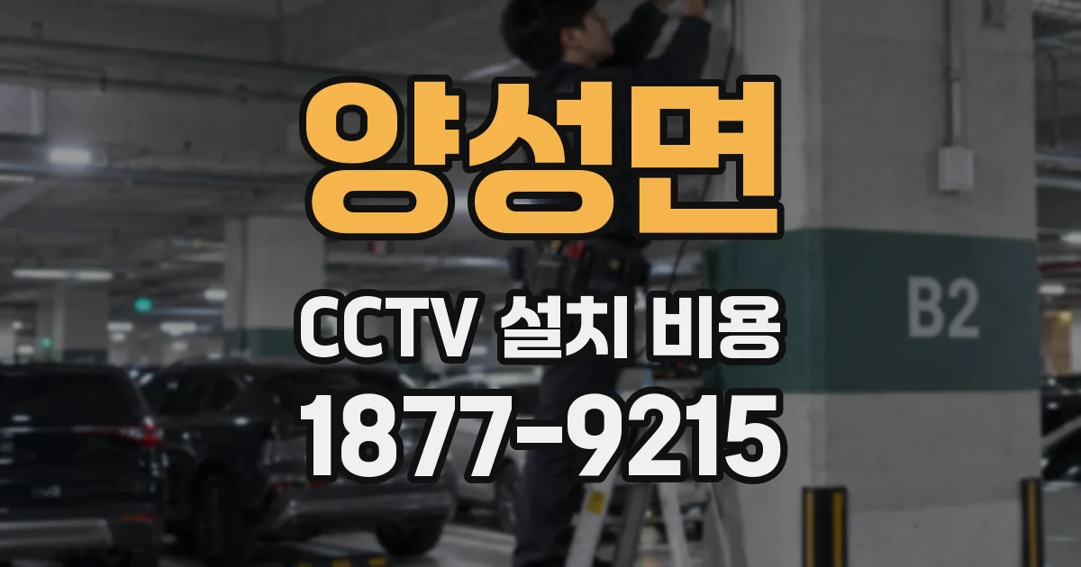 양성면 CCTV 설치 비용