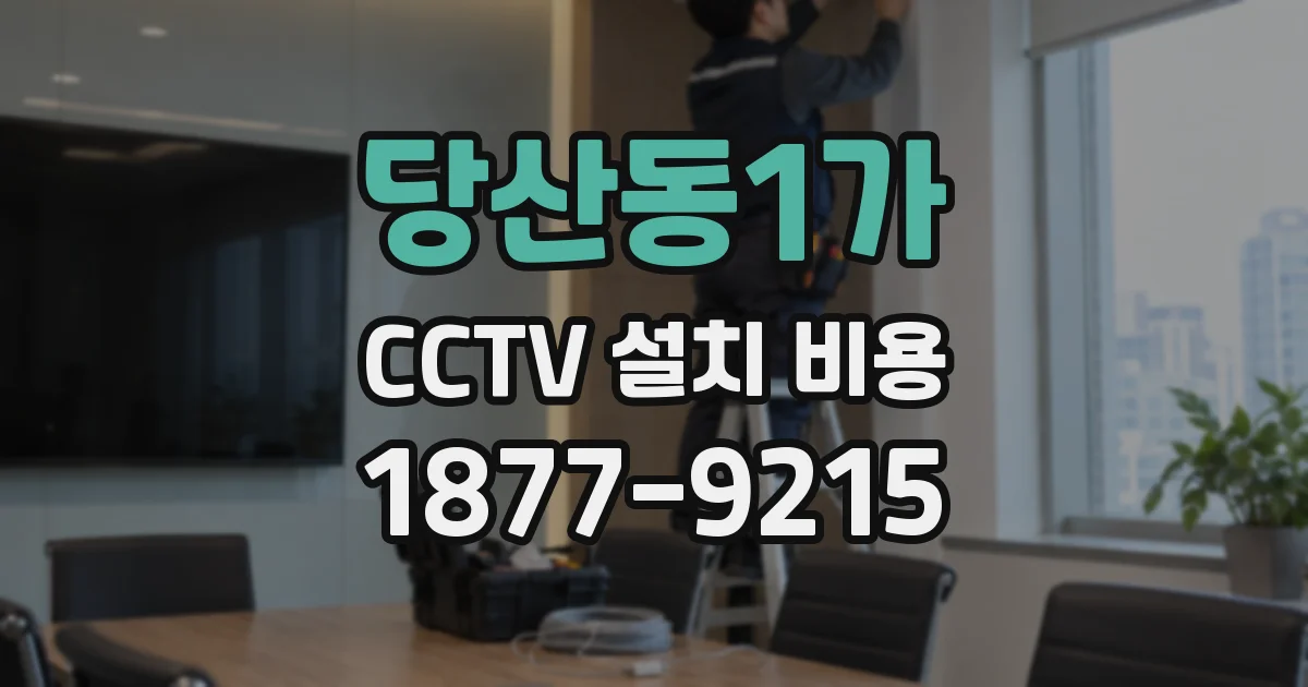 당산동1가 CCTV 설치 비용