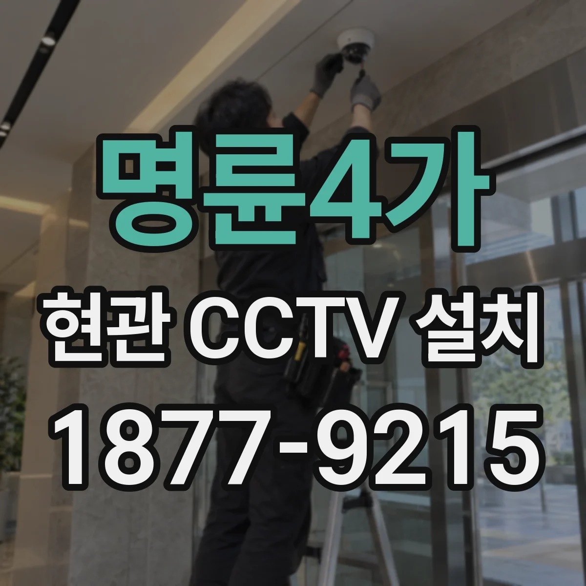 명륜4가 현관 CCTV 설치