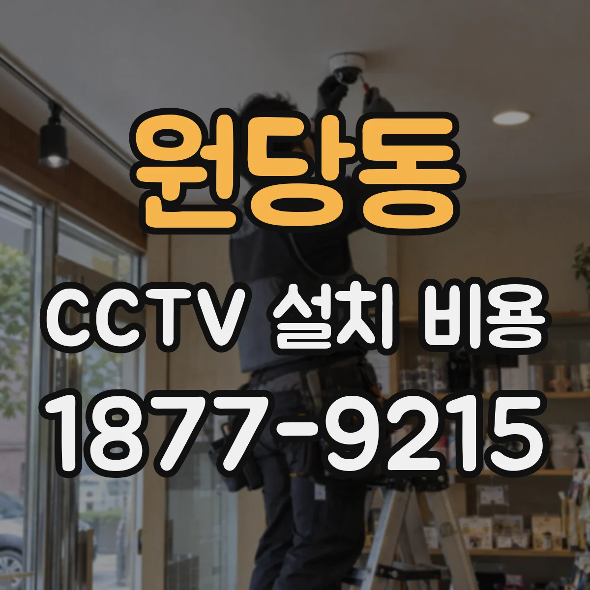 원당동 CCTV 설치 비용