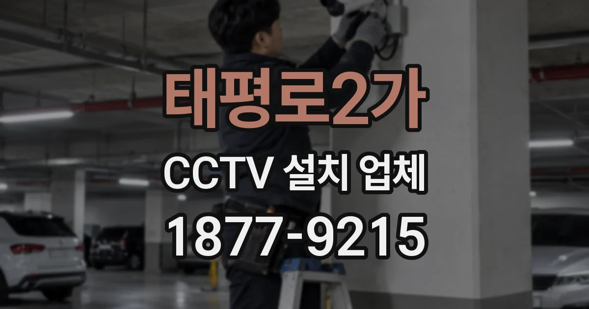 태평로2가 CCTV 설치 업체