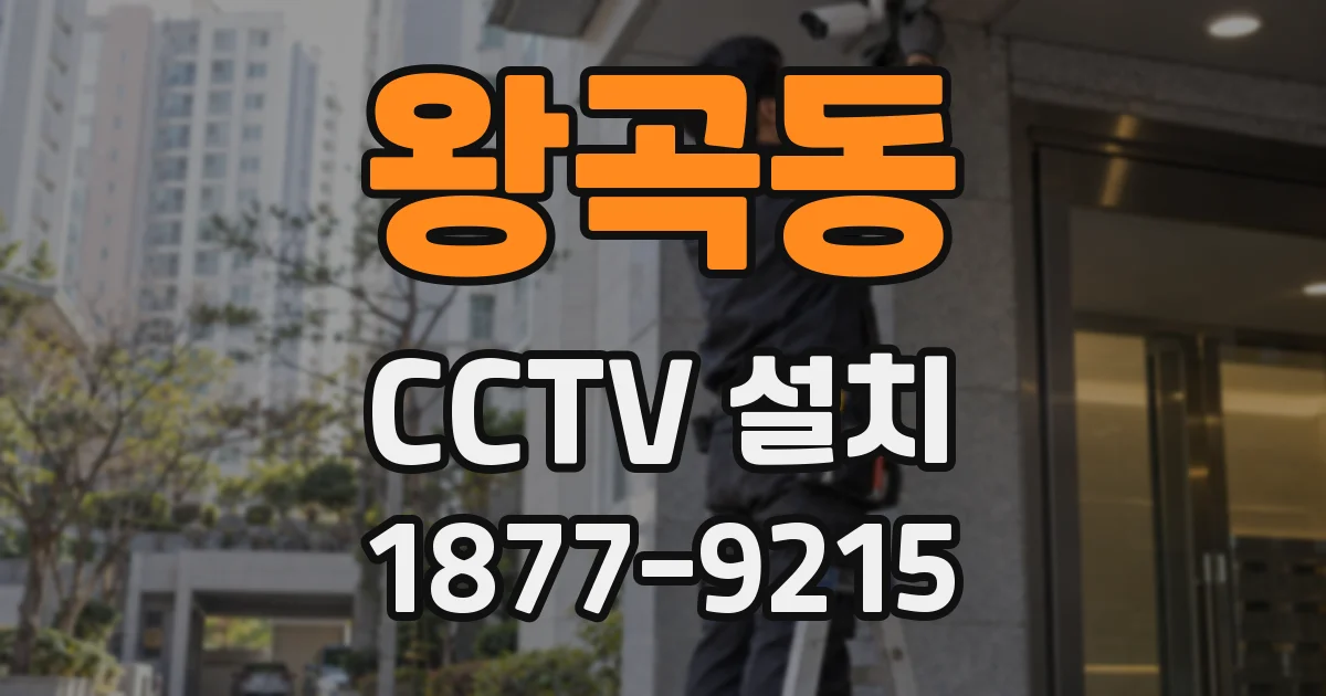 왕곡동 CCTV 설치