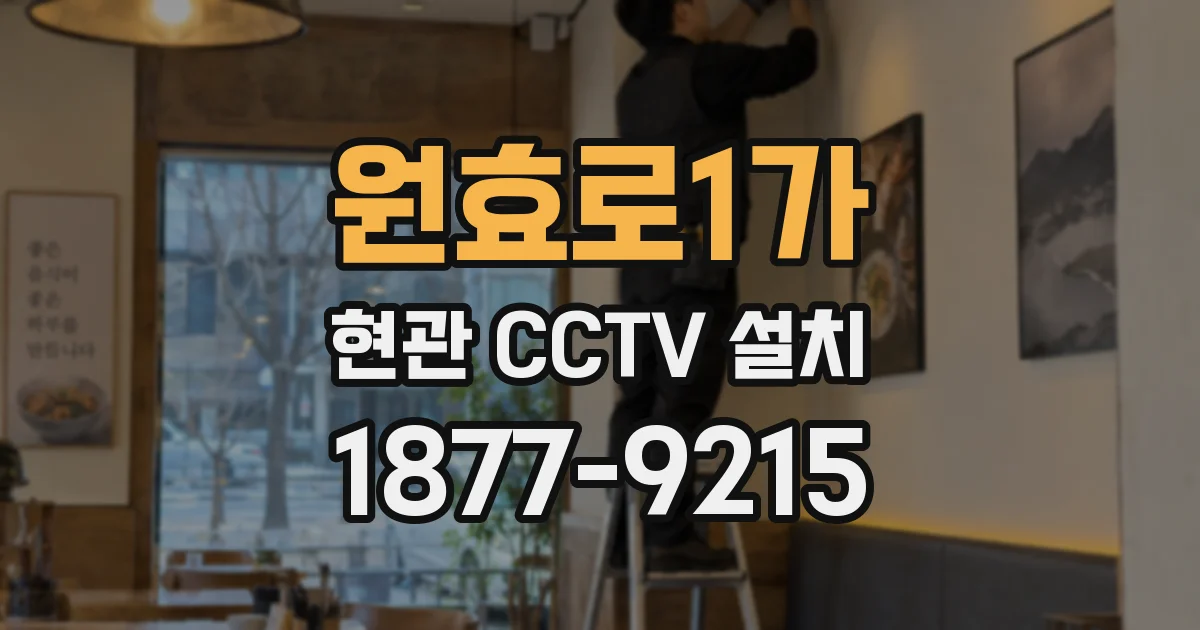 원효로1가 현관 CCTV 설치
