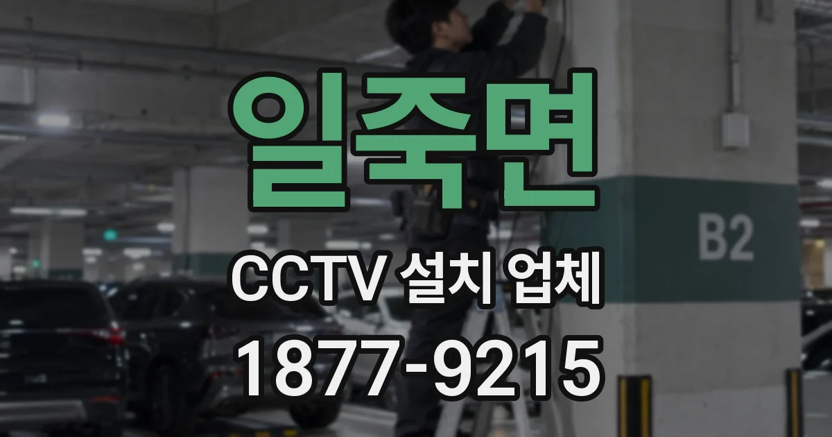 일죽면 CCTV 설치 업체