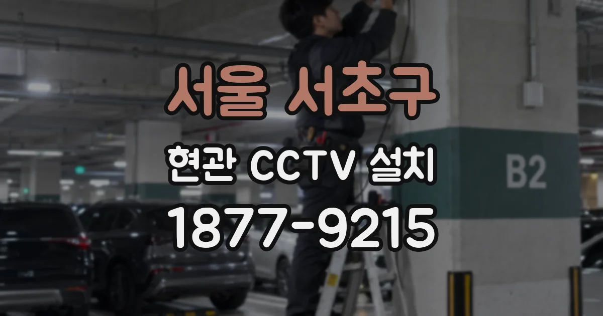 서울 서초구 현관 CCTV 설치