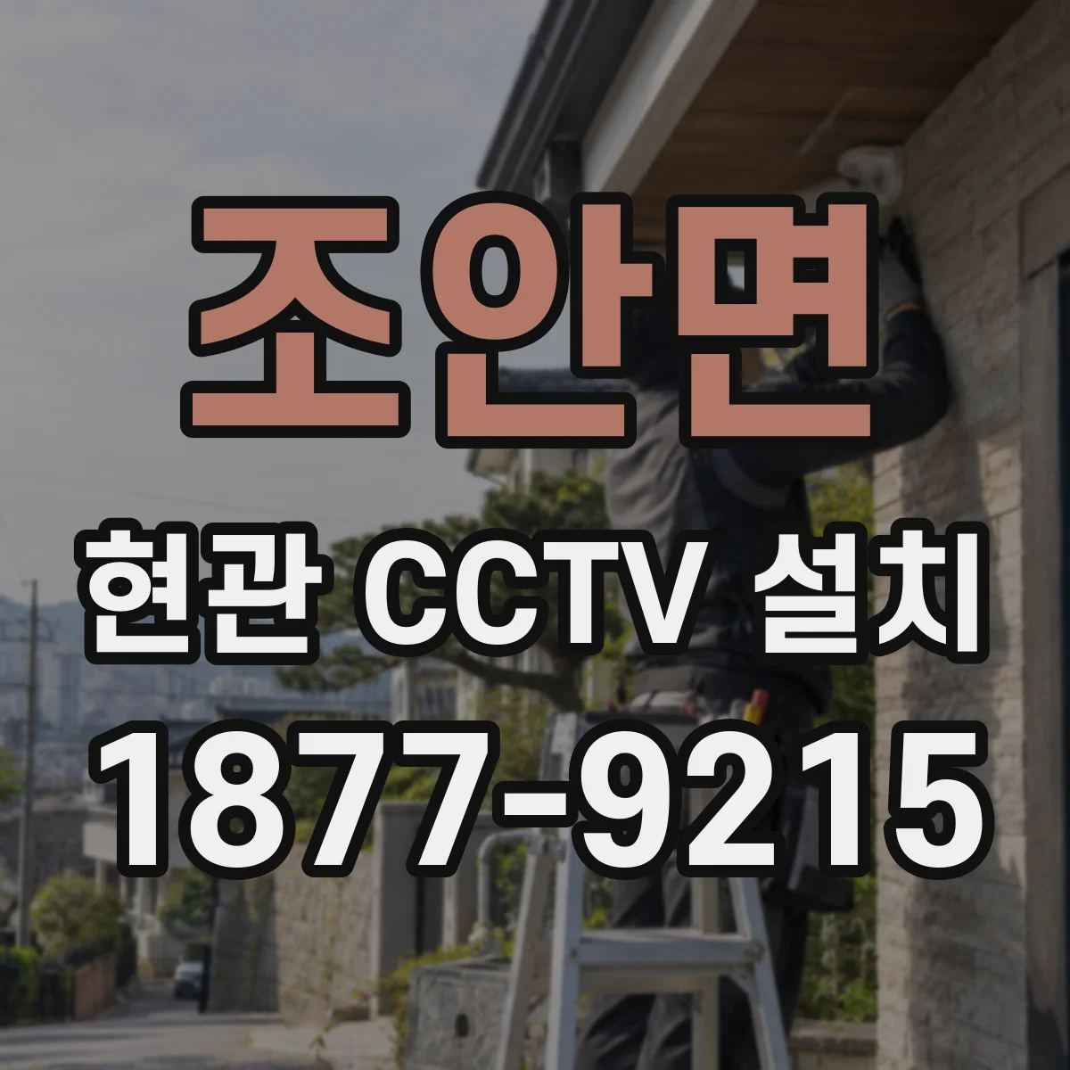 조안면 현관 CCTV 설치