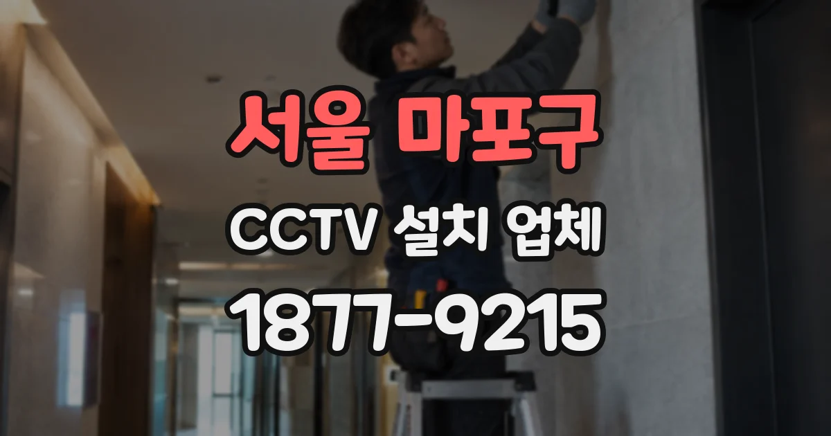 서울 마포구 CCTV 설치 업체