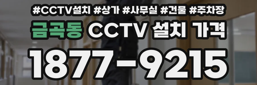 금곡동 CCTV 설치 가격