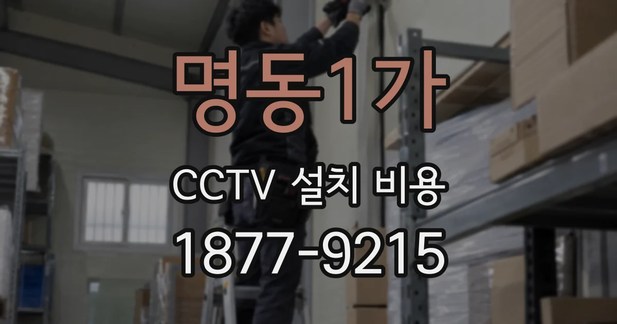 명동1가 CCTV 설치 비용