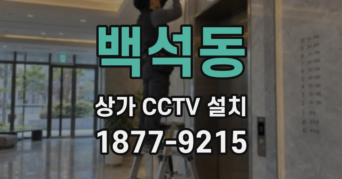백석동 상가 CCTV 설치