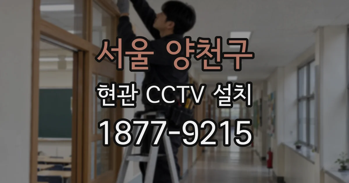 서울 양천구 현관 CCTV 설치