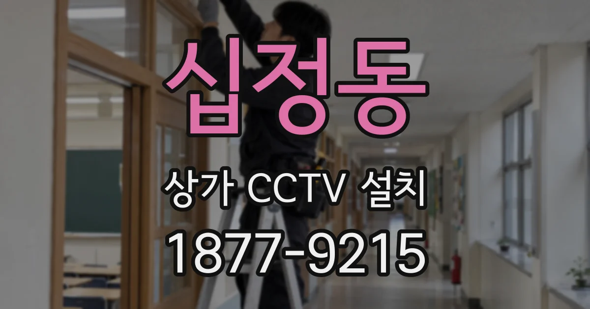 십정동 상가 CCTV 설치