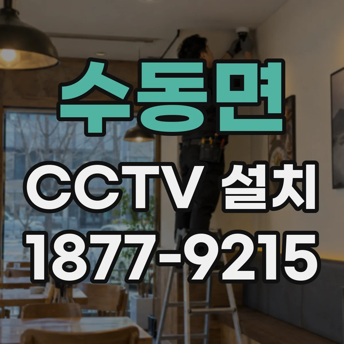 수동면 CCTV 설치
