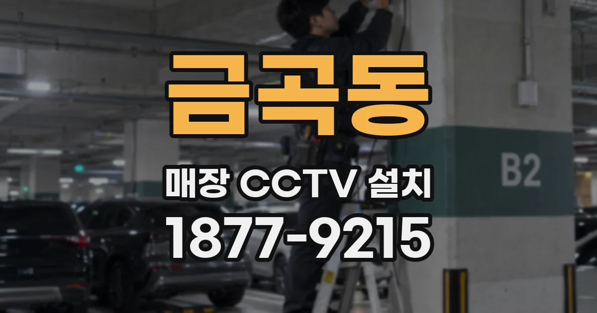 금곡동 매장 CCTV 설치