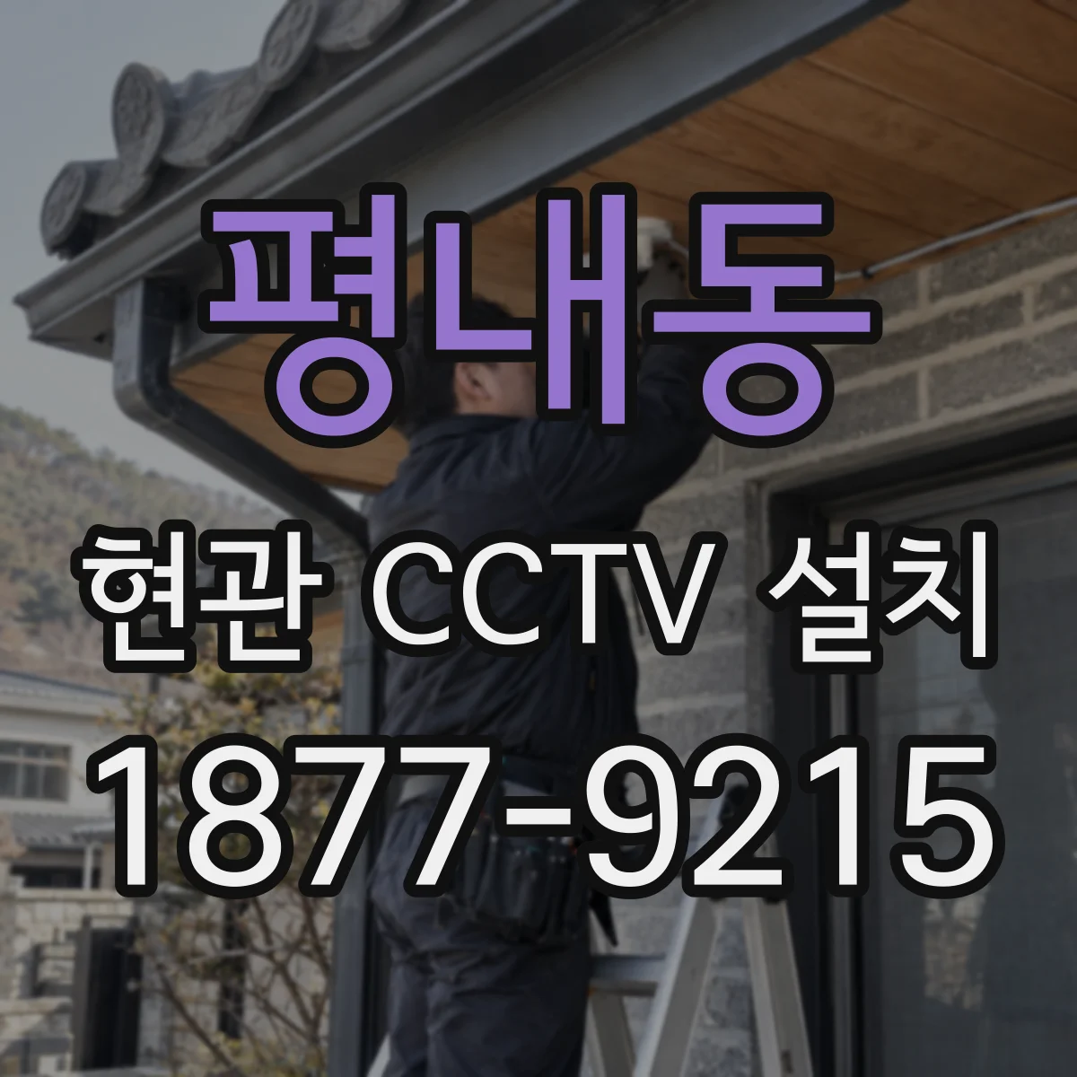 평내동 현관 CCTV 설치