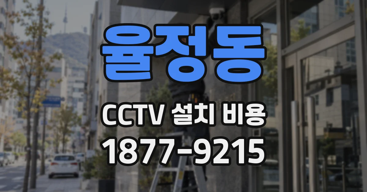 율정동 CCTV 설치 비용