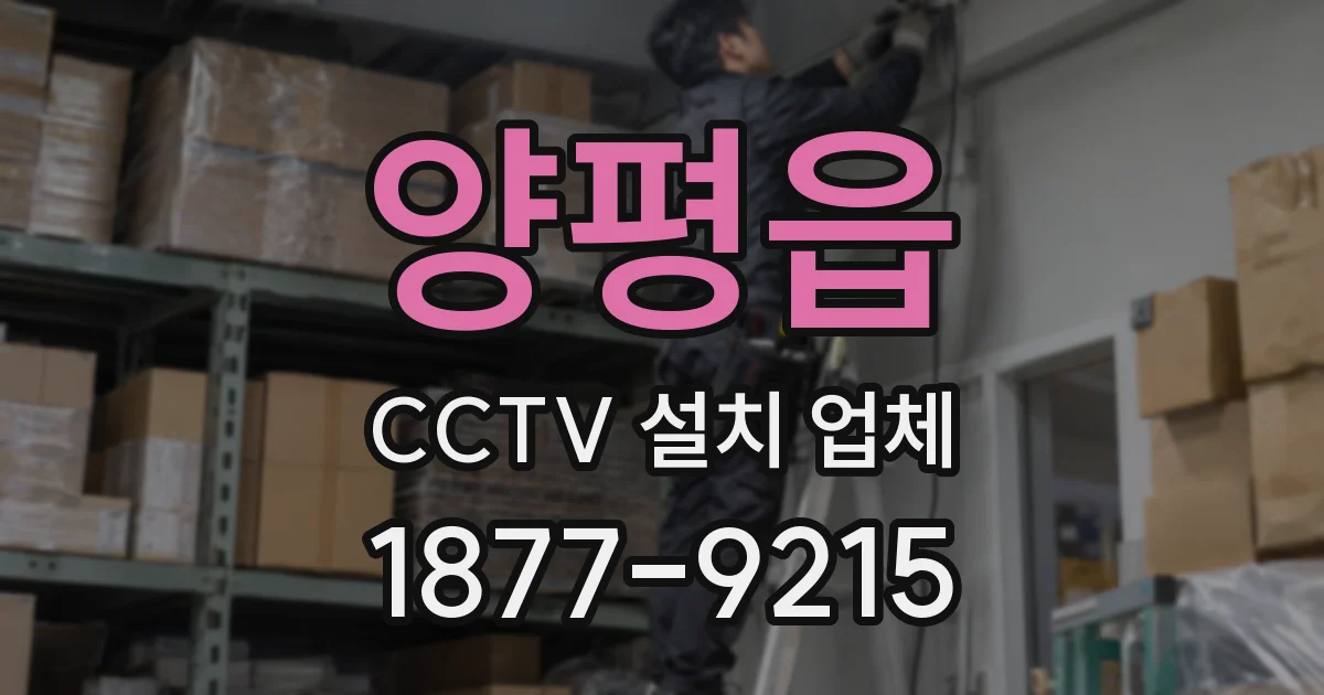 양평읍 CCTV 설치 업체