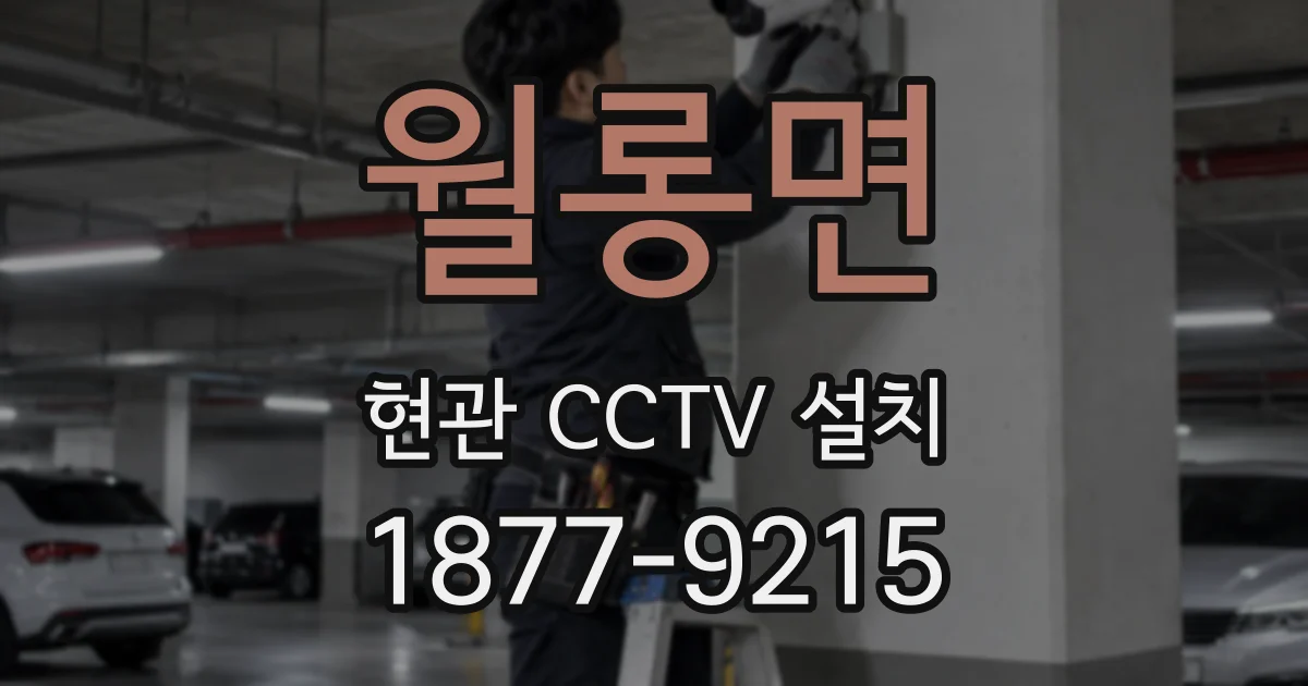 월롱면 현관 CCTV 설치