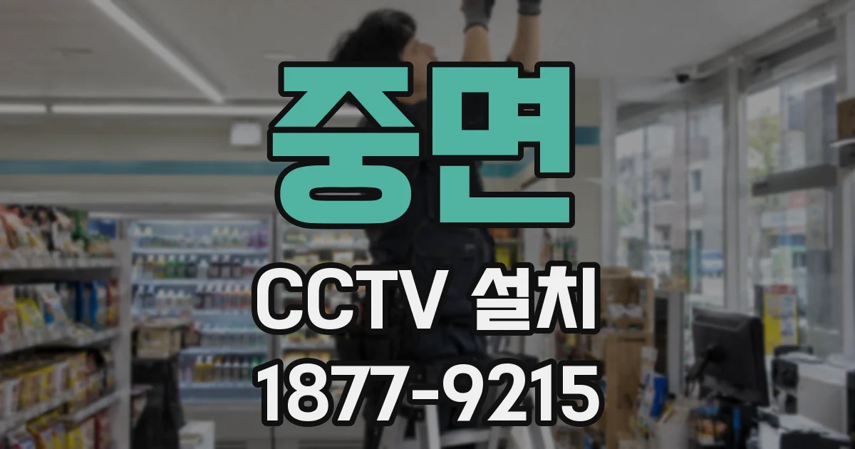 중면 CCTV 설치