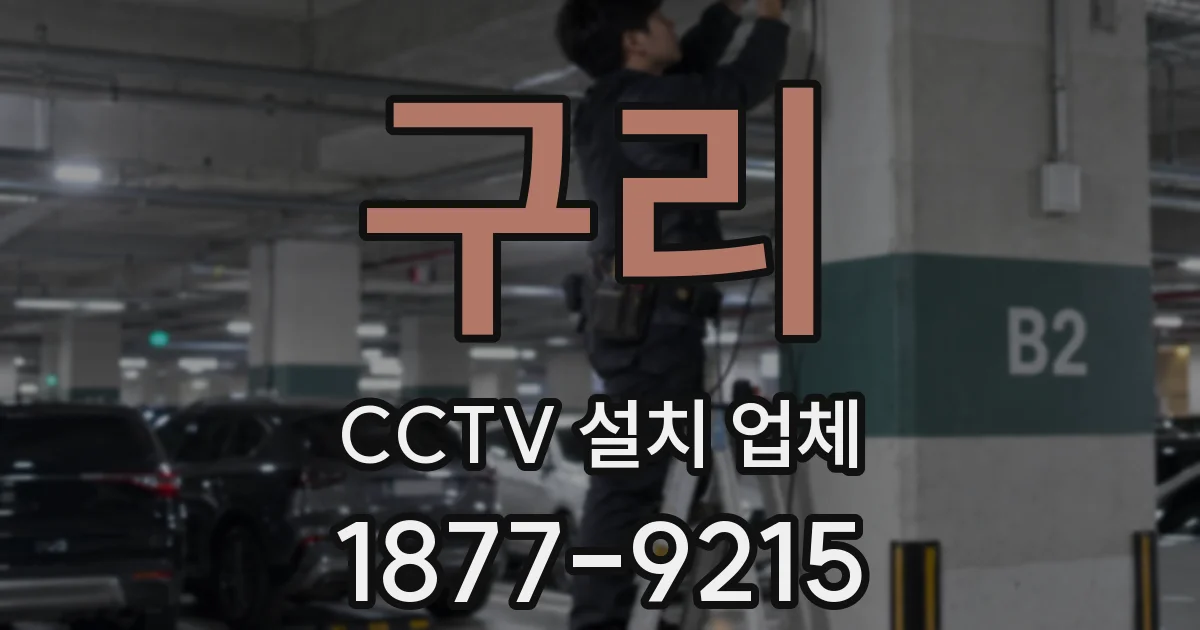 구리 CCTV 설치 업체