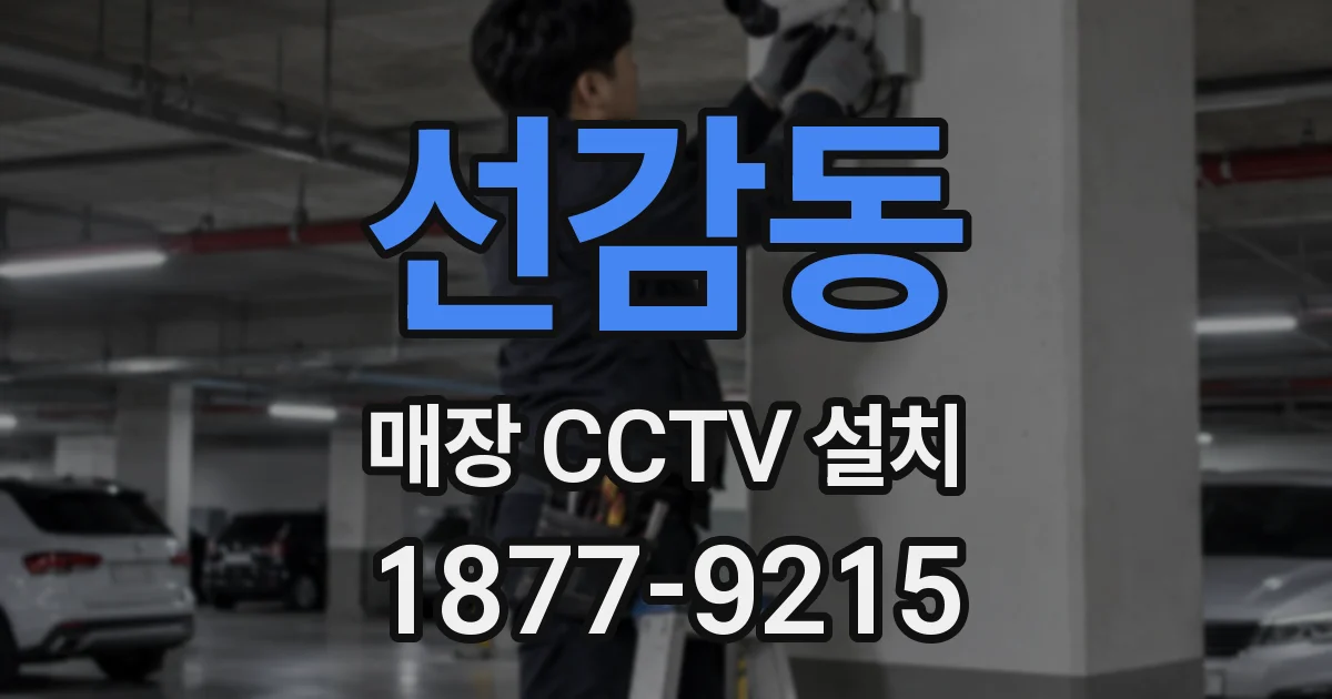 선감동 매장 CCTV 설치