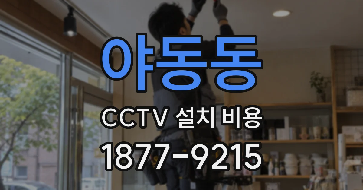 야동동 CCTV 설치 비용