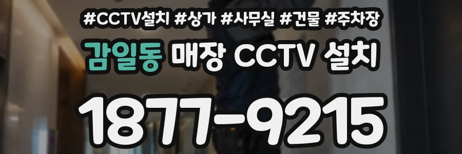 감일동 매장 CCTV 설치