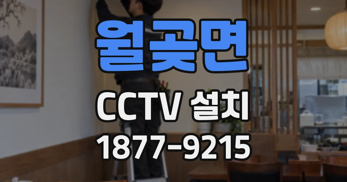 월곶면 CCTV 설치