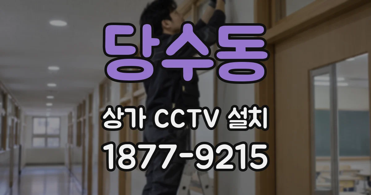 당수동 상가 CCTV 설치