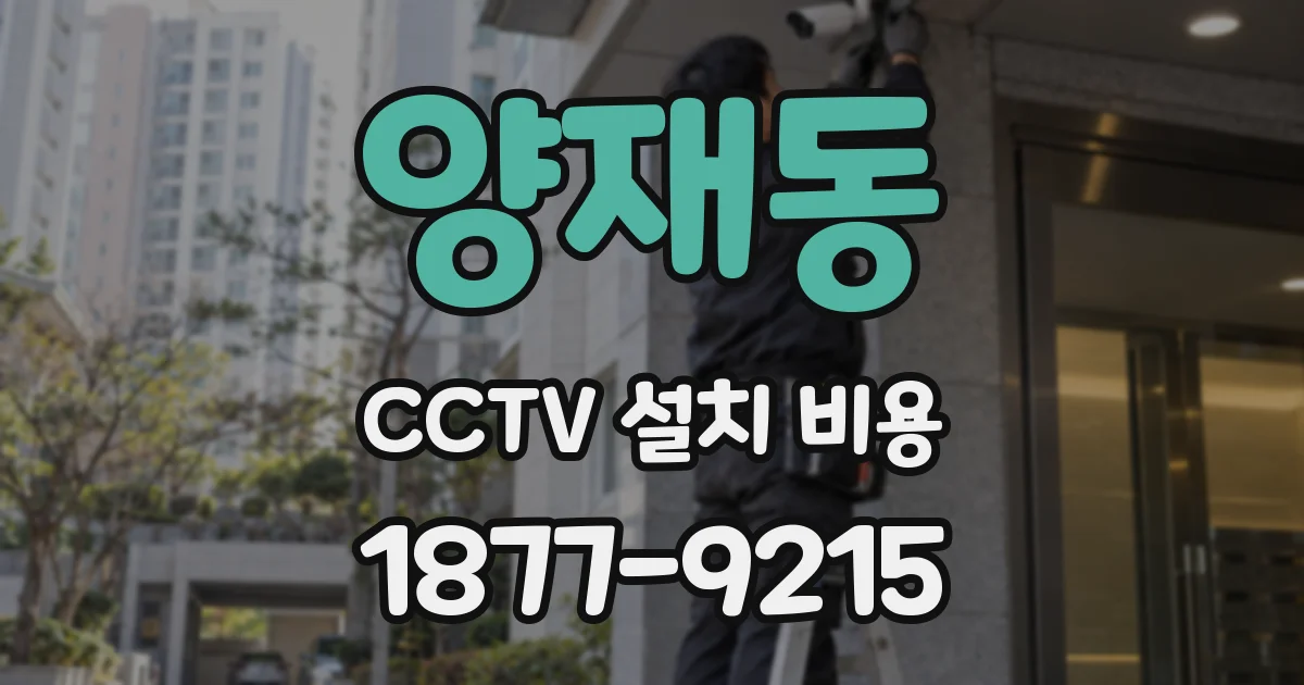 양재동 CCTV 설치 비용
