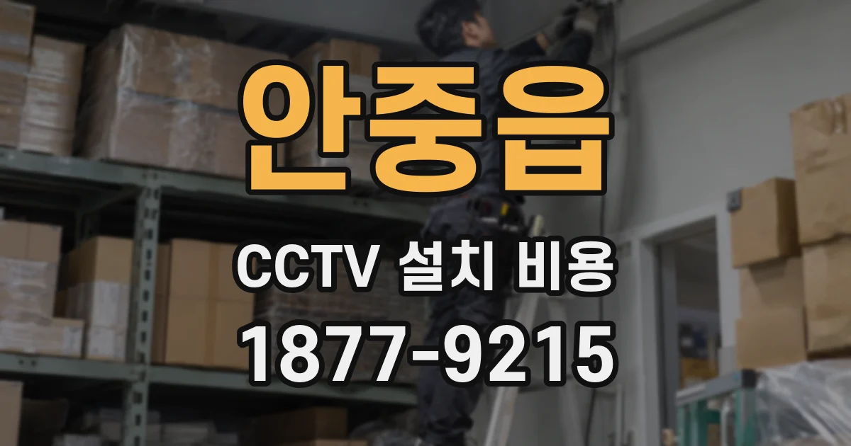 안중읍 CCTV 설치 비용