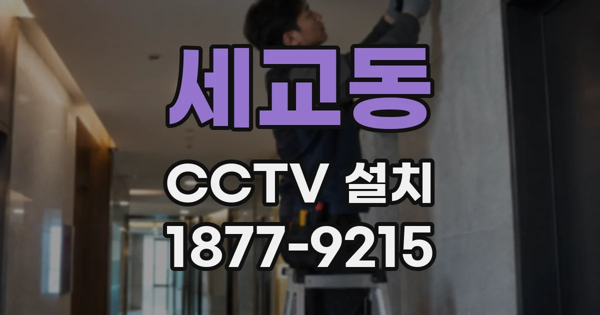 세교동 CCTV 설치