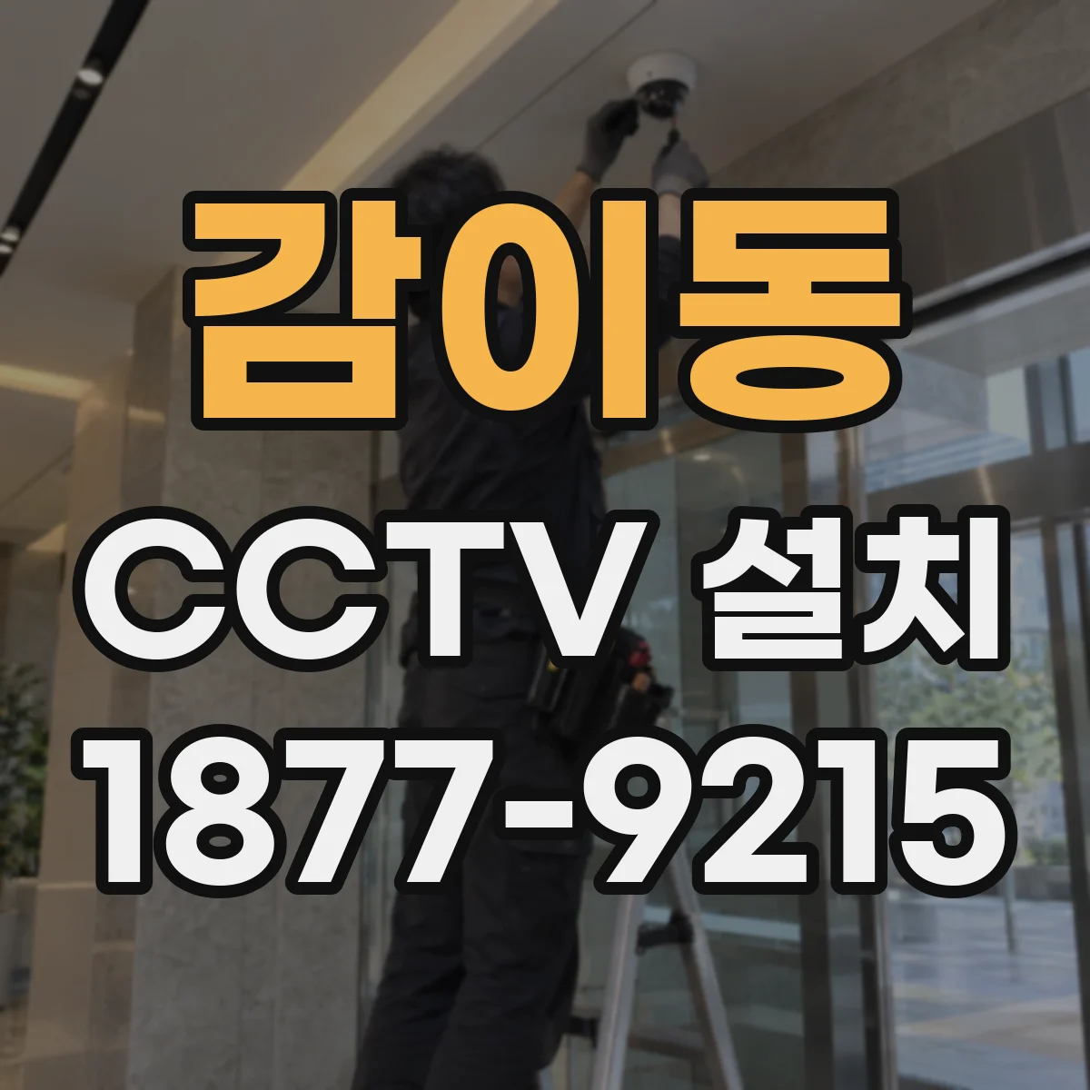 감이동 CCTV 설치