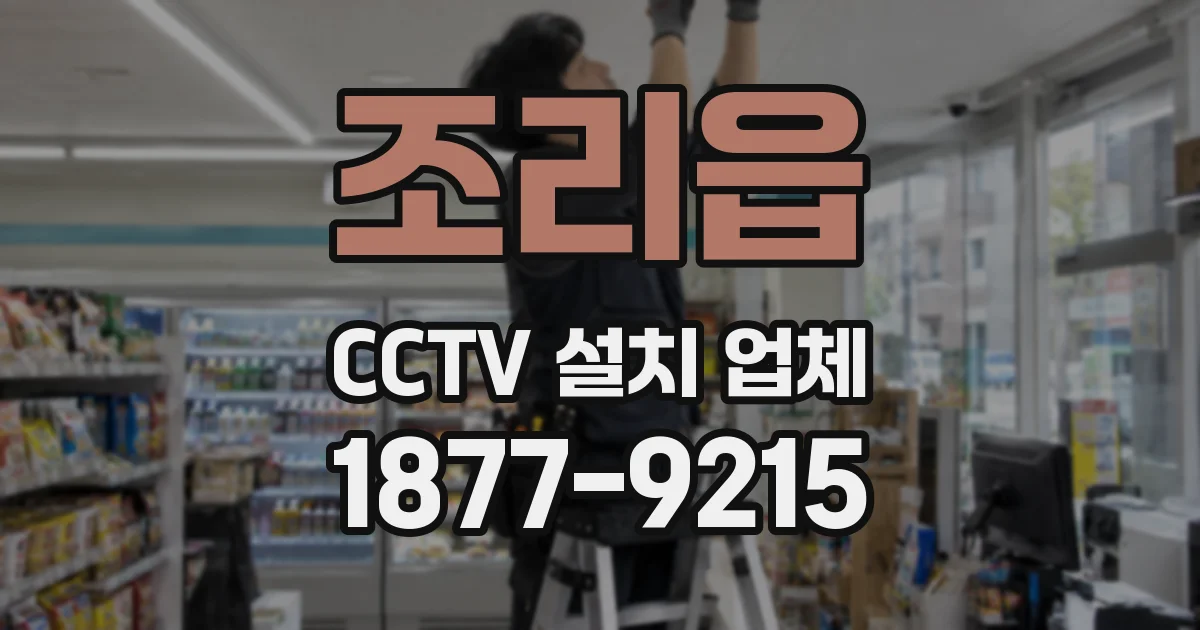 조리읍 CCTV 설치 업체
