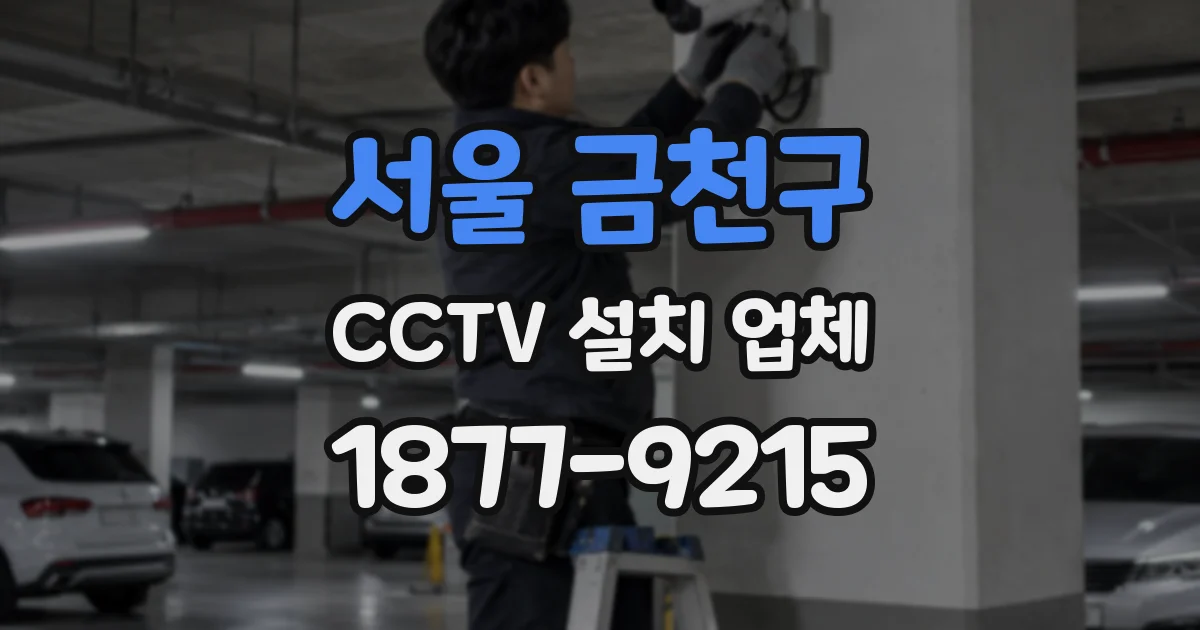 서울 금천구 CCTV 설치 업체