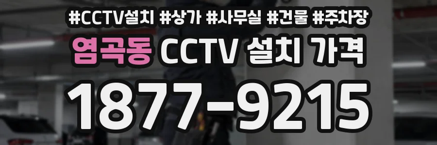 염곡동 CCTV 설치 가격