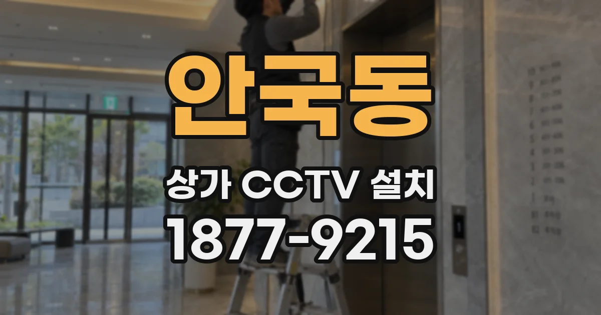 안국동 상가 CCTV 설치