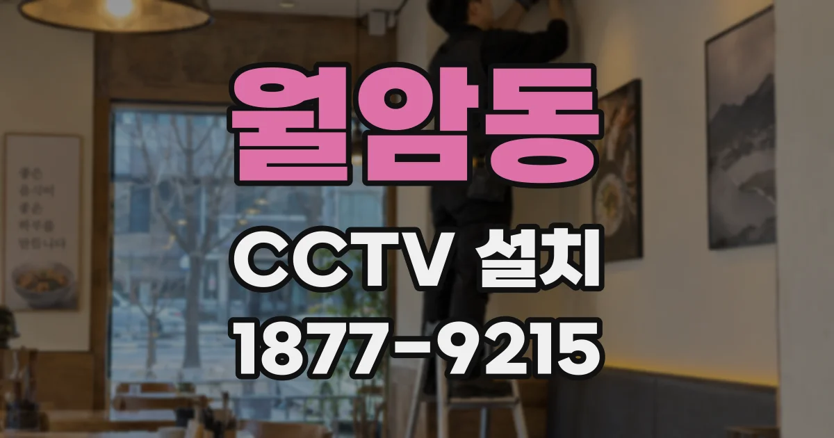 월암동 CCTV 설치