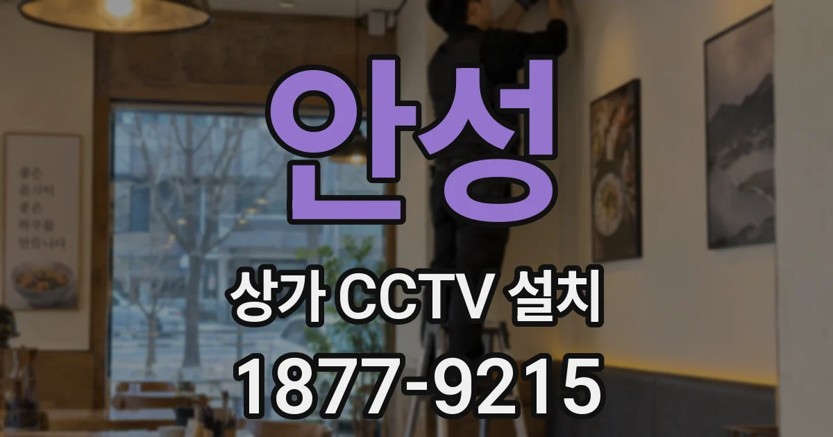 안성 상가 CCTV 설치
