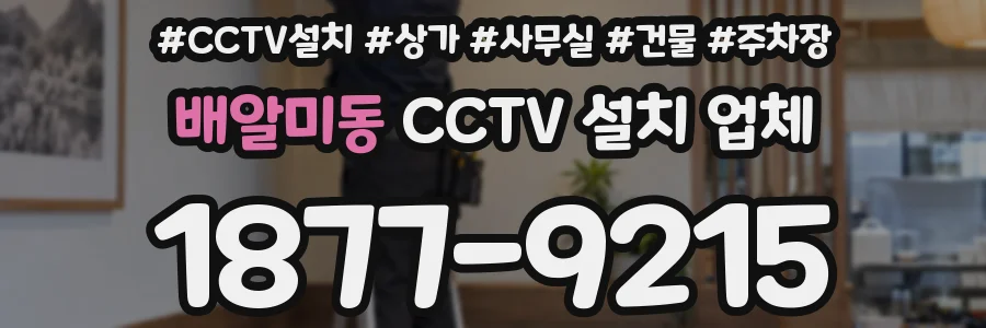 배알미동 CCTV 설치 업체