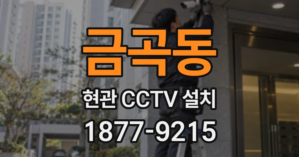 금곡동 현관 CCTV 설치
