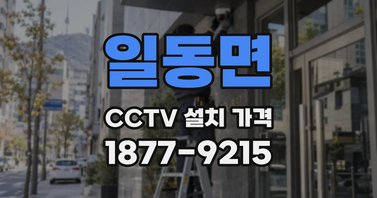 일동면 CCTV 설치 가격