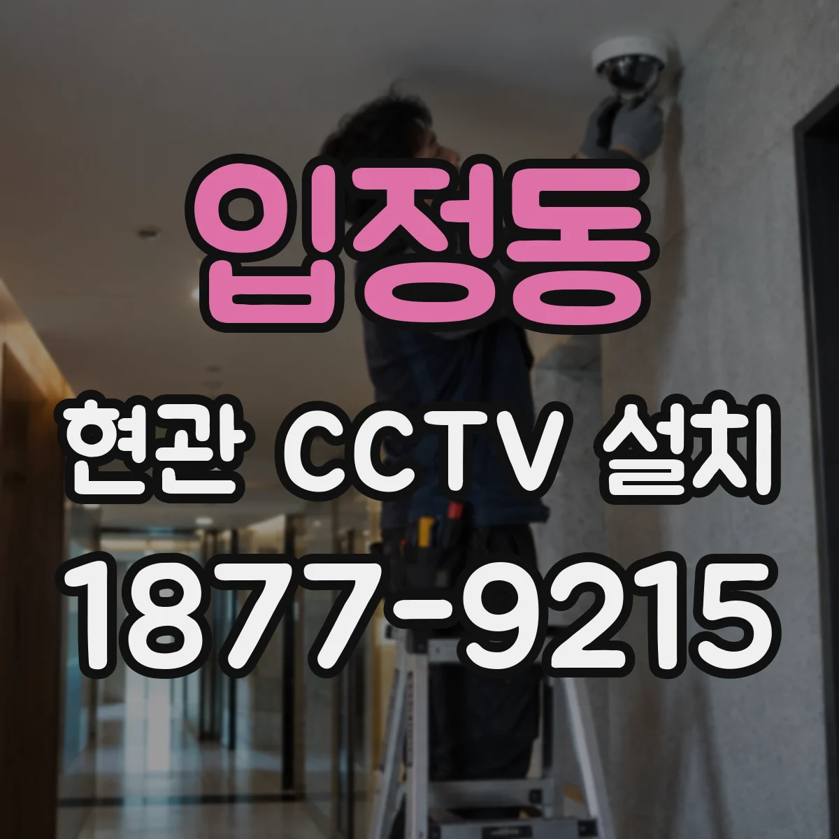 입정동 현관 CCTV 설치