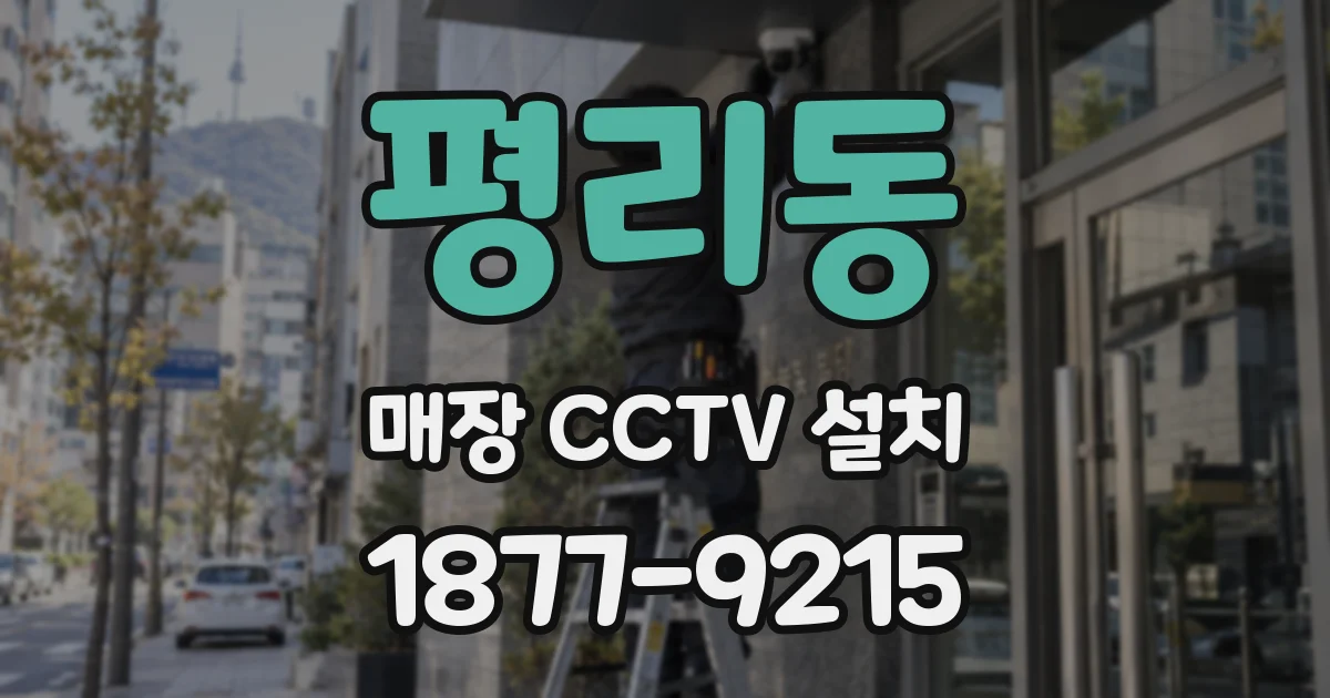 평리동 매장 CCTV 설치